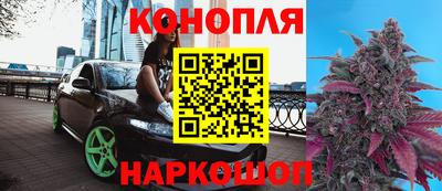 прущие крисы Аргун