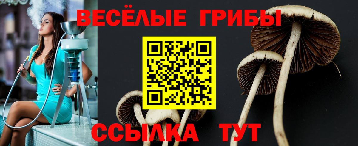 Галлюциногенные грибы GOLDEN TEACHER  наркотики  Воркута  Вход с VPN 